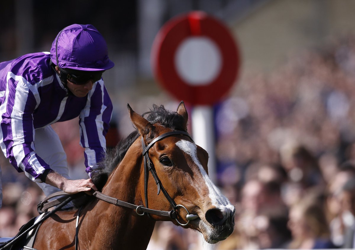 AtTheRaces's tweet photo. In 2016, Minding was the superstar filly who won an astonishing five Group 1s... https://t.co/XC9Tk5ocEx