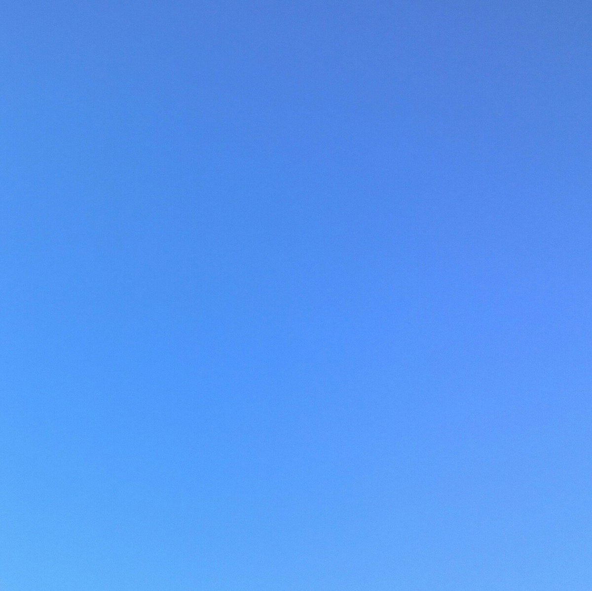 skyoverberlin16's tweet photo. 31st of December '16366/366 #skyoverberlin #berlin #todaysky#dataviz #visualization #skyoverberlin #sky #HAPPYNEWYEAR #silvester2016 https://t.co/whKsAuLfDk