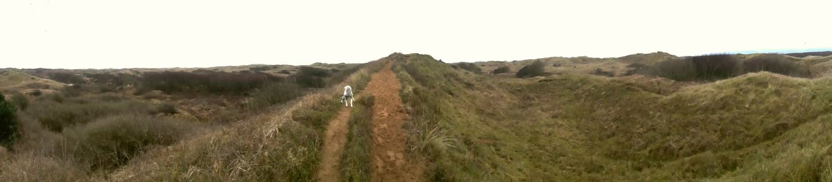 @WTWales @BBCCountryfile standing firm in face of heavy industry #KenfigHillNatureReserve #Wales #CoastalEcosystem #PoochMooch #WinterWalks