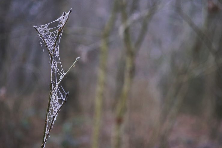 Jonthan Munro tweet media