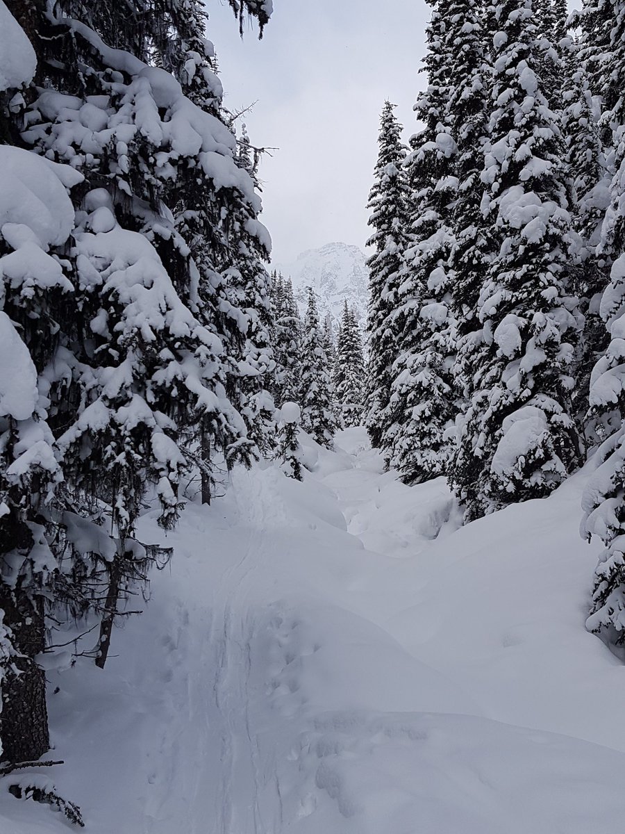Jbleaffan16's tweet photo. Nice ski tour into Taylor Lake.  Thanks for the suggestion @explore_mag @BanffNP https://t.co/z2tlRPCvXk