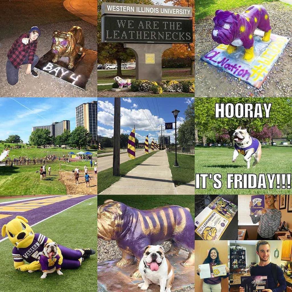 WIUAdmissions's tweet photo. Thanks for a great 2016, Leathernecks! We can't wait to meet more of you in 2017! #2016bes… https://t.co/8mDrVF64VL https://t.co/UX1nQnVp2A