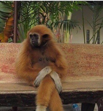 Dan Lebrun tweet media