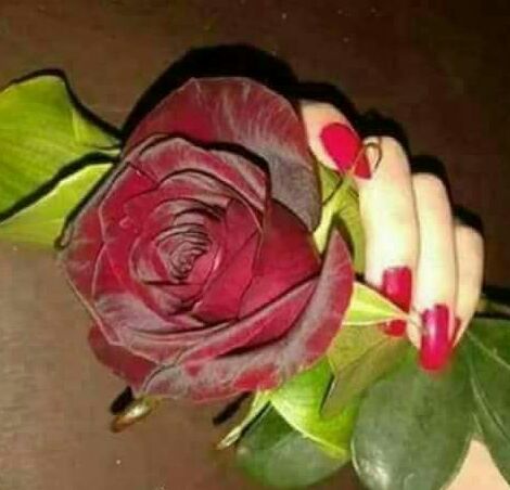 شنو اليوم؟؟
اليوم واحد واحد😌
لا صدوك؟؟
واني ولا متواعد😕
ياكرسمس ياقهر زعلان حبيبي من شهر 
دورت عنه ماكوحل بالبصرةوكويت وقطر
1\1 عيد ميلادي🙈R