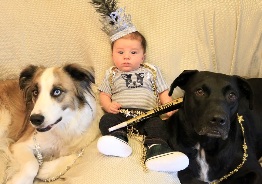 Dog_Matchmaker's tweet photo. #HappyNewYear! Love, my 3 sons. @FosterDogsNYC https://t.co/TVQxFspbq0
