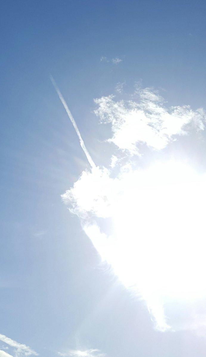 BayleeB79's tweet photo. @Chemtrails76200 @MickWest @SteerMark @OpChemtrails @Masschemtrails #geoengineering #chemtrails Yes they're horrible in #LyonFR again today https://t.co/18FAvFNUXb
