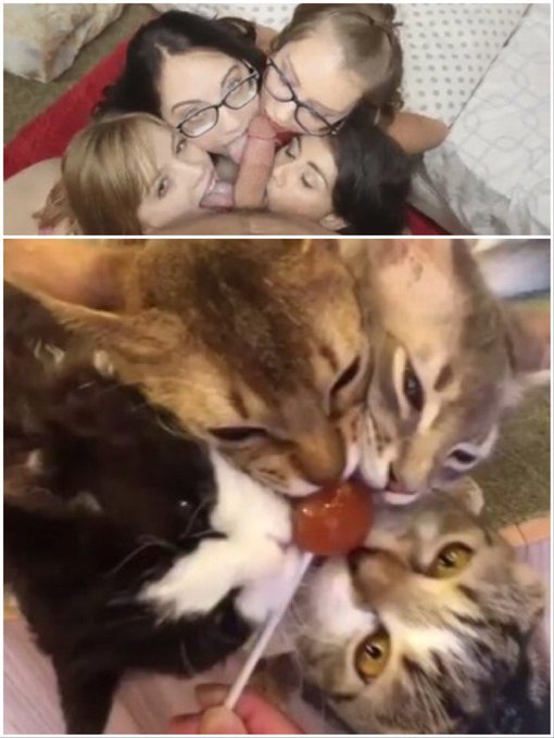 Licking the D like hungry cats on a lollipop @MissDollyLeigh https://t.co/wbhDcBytiP<a class="tags" href="/tag/missdollyleigh">@missdollyleigh</a><a href="/tag/joi"class="tags"><span>#joi</span></a><a href="/tag/pegging"class="tags"><span>#pegging</span></a><a href="/tag/cuckold"class="tags"><span>#cuckold</span></a><a href="/tag/cei"class="tags"><span>#cei</span></a><a href="/tag/chastity"class="tags"><span>#chastity</span></a>