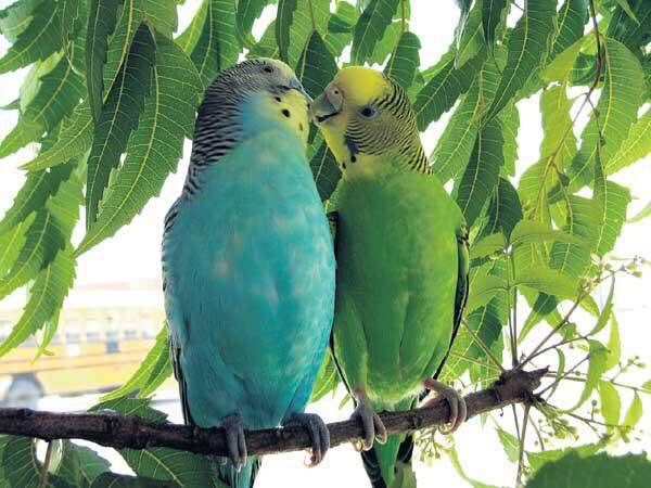 لا تأسف على قلبٍ أذقته حلاوة الوطن فأذاقك مر المنفى.
🍂🕊🍂