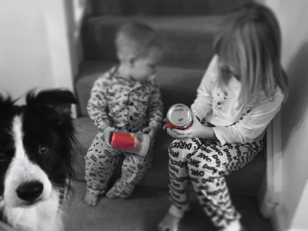 brickblockfairy's tweet photo. Christmas 2016.  https://t.co/PUrE0osF6g https://t.co/7pCkPgMu7C