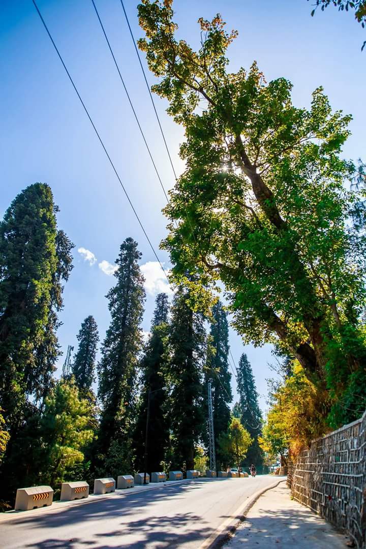 iamAhsaanKhan's tweet photo. #KPRisesWithKhan This is our clean and green KPK. Thankyou Chairman @ImranKhanPTI & CM @PervezKhattakCM and his team. https://t.co/svHvzTZxPf