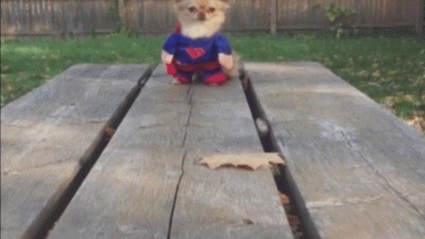 Superheroes come in all sizes. Happy