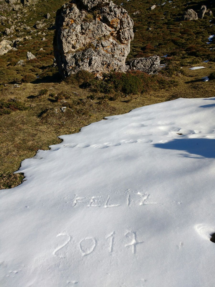 lapinietsa's tweet photo. #feliz año https://t.co/bjhBMC3TFI