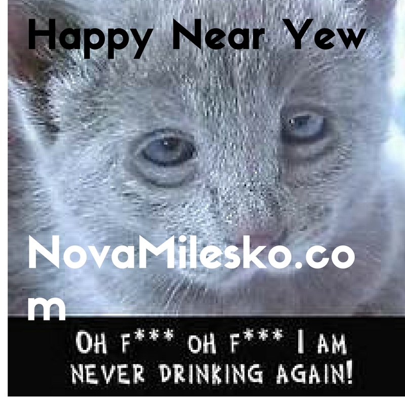 novamilesko's tweet photo. HAppy Near Yew! XXXX See you in the Cat CAMyoag (am not wrinking ever again) 01/01/17 #hungover #isonitsway #cambridge #camyoga #camyogis https://t.co/aW3lJgefcG