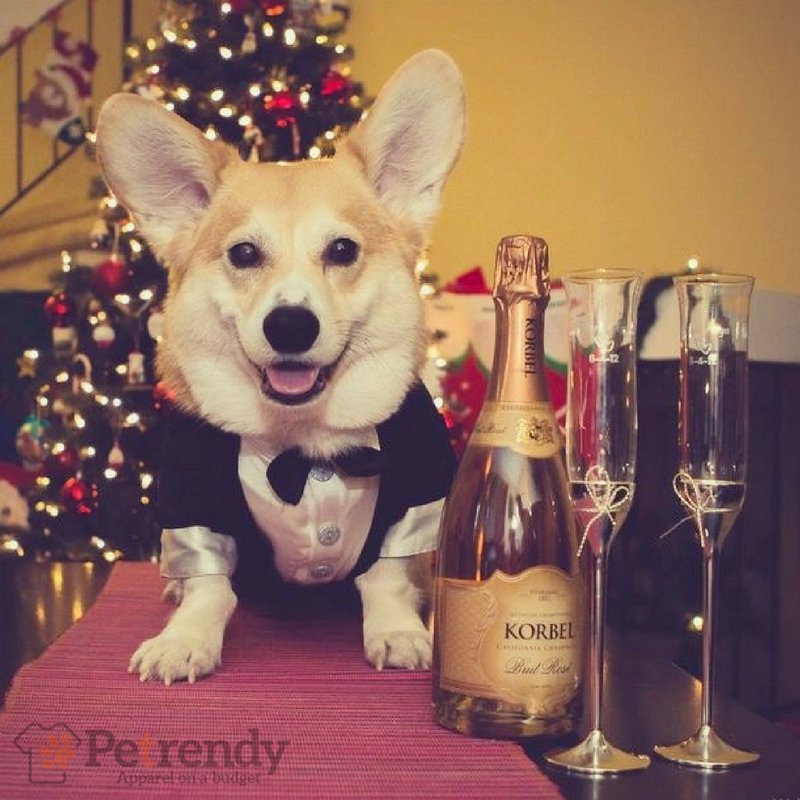 Who's ready to #party!? #NYE #NYE2017