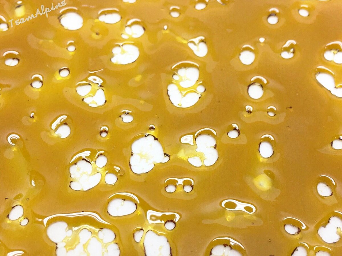 teamalpine916's tweet photo. Sorcerer's Apprentice x Snowland By #Brutal_Bee 🐝 Available With Our Wax Deals! Stop By &amp; Say High! We're Here Til 8! #AlpineAlternative https://t.co/ntdkbvoXjk