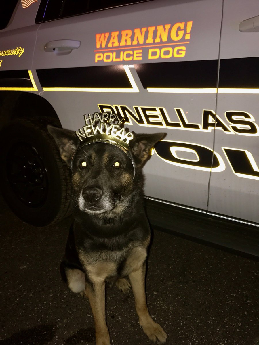 PinellasParkPD's tweet image. K9 Nyko would like to wish everyone a safe and Happy New Year!!!