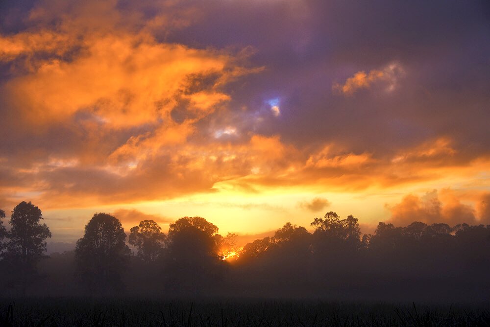 bilfulaAU's tweet photo. First light of the year. New Years sunrise. #firstpic2017 #Childers #SouthernGBR #thisisqueensland https://t.co/G7TBYtrCHy
