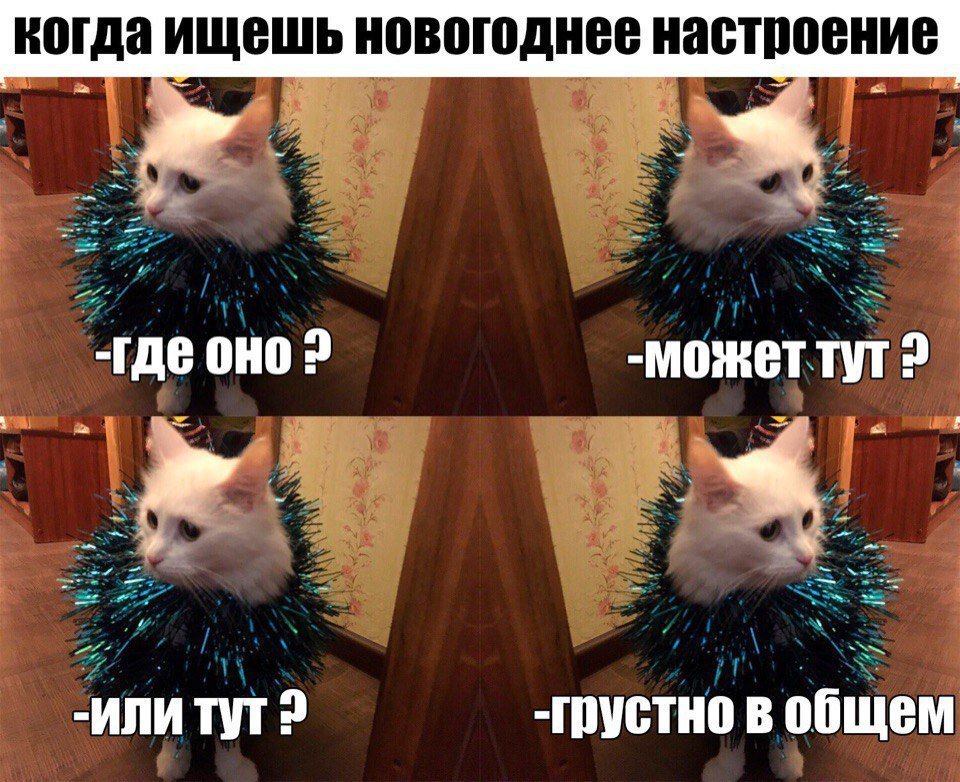 Нового года не будет откуда мем Мем: "где мои ёлочные игрушки" Все шаблоны