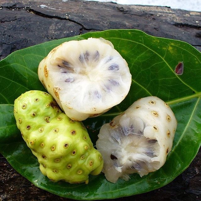 HayQueSaberlo's tweet photo. El zumo de noni posee propiedades curativas que ayudan a elevar nuestro sistema inmunológico. https://t.co/DdP5spCJWK