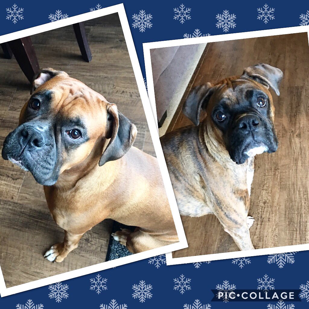 keymamma3's tweet photo. Kinda obsessed ❤️❄️ https://t.co/4ZJAvmFc64