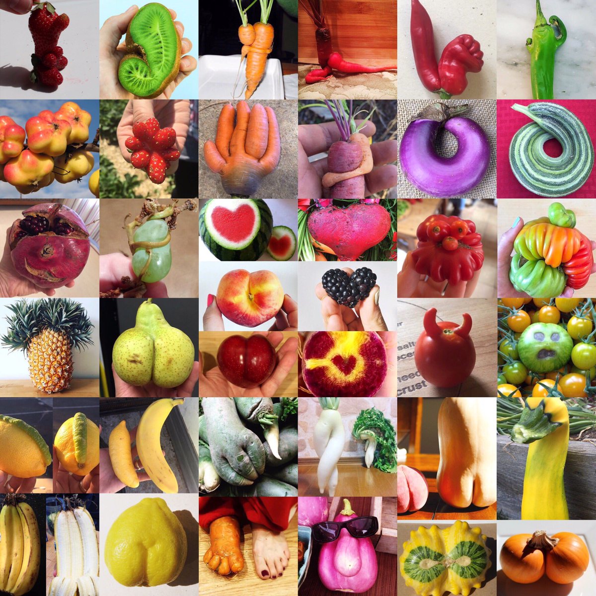 UglyFruitAndVeg's tweet photo. Just some of the thousands of amazing pics you all sent this year. Thanks 4 a great year 4 #uglyfruitandveg! #LoveTheUgly❤️👹 #HappyNewYear🎉 https://t.co/nIpMQA01D5
