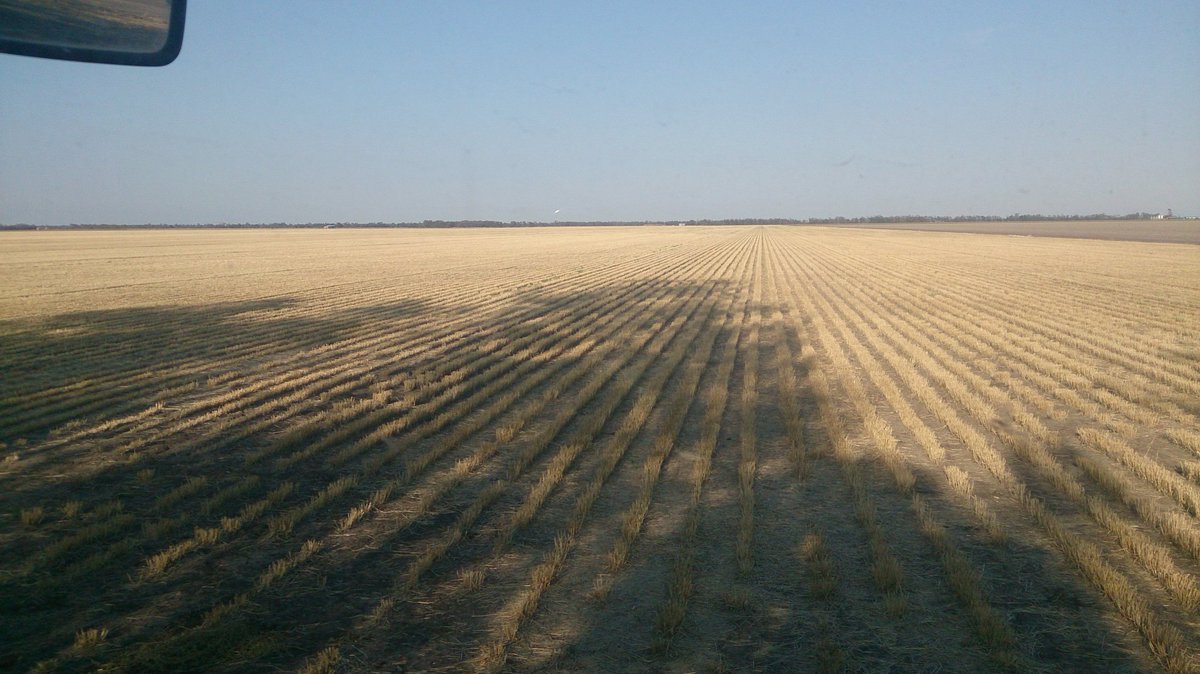 Warraboy's tweet photo. Fallow spraying new years morning! #firstpic2017 https://t.co/UYqP6NfR7v