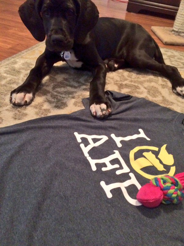 AFPhq's tweet photo. Being an activist is even more fun when you can spend your #DayofAction with cute animals! Here are some of our favorite #AFPets from 2016! https://t.co/CFKjIZ4Ycw