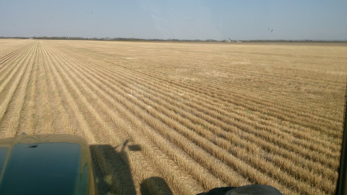 Warraboy's tweet photo. #firstpic2017 Fallow spraying. #darlingdowns #ausag https://t.co/9apJqYB5AC