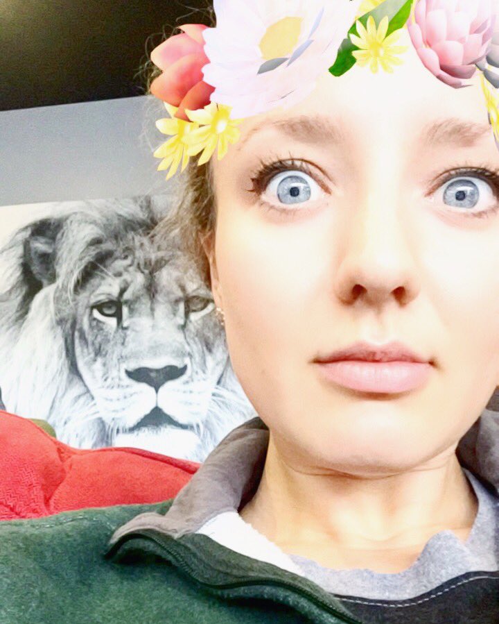 TaylorStearns's tweet photo. Reflecting on 2016...and hoping to have a spirit animal of this lion you see here for 2017. Strong//protein lover. https://t.co/OmAGxGaiMY