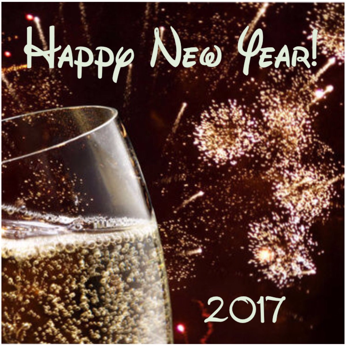 eca_capecod's tweet image. #HAPPYNEWYEAR 🍾🎉