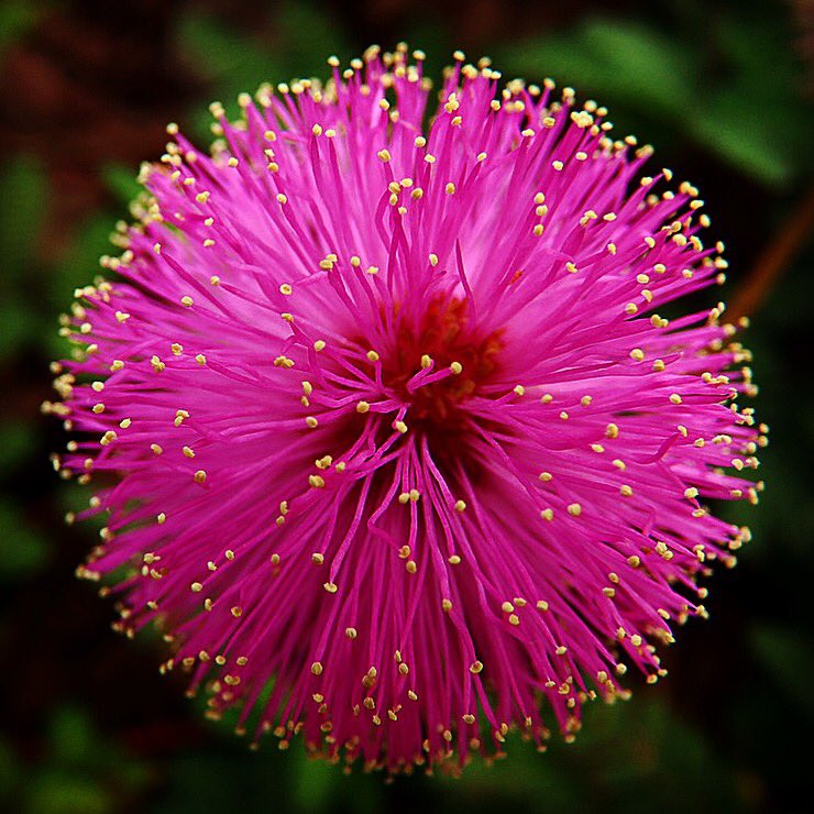 EarthwormTec tweet media