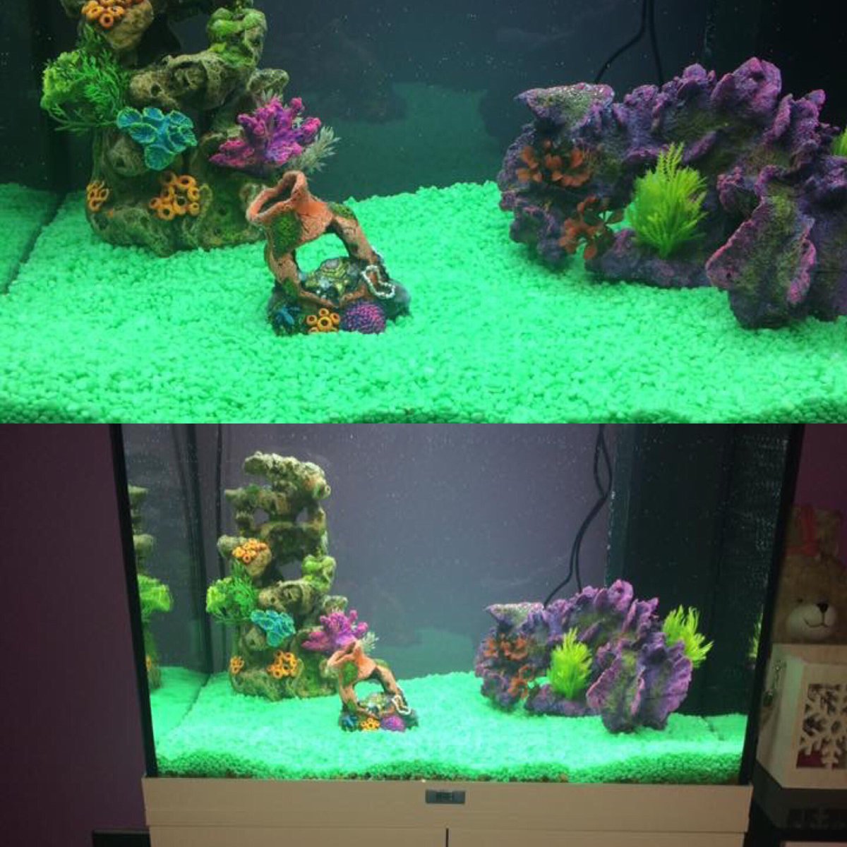 awesome_team's tweet photo. Phase 1 complete #tropicalfishtank #purplengreen #notatm https://t.co/V8ksax3RR3