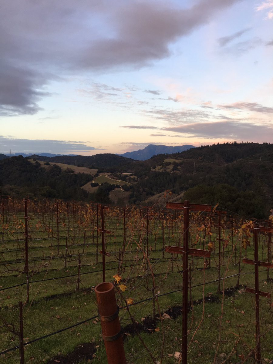 Sending everyone warm wishes for a happy and healthy New Year - cheers!