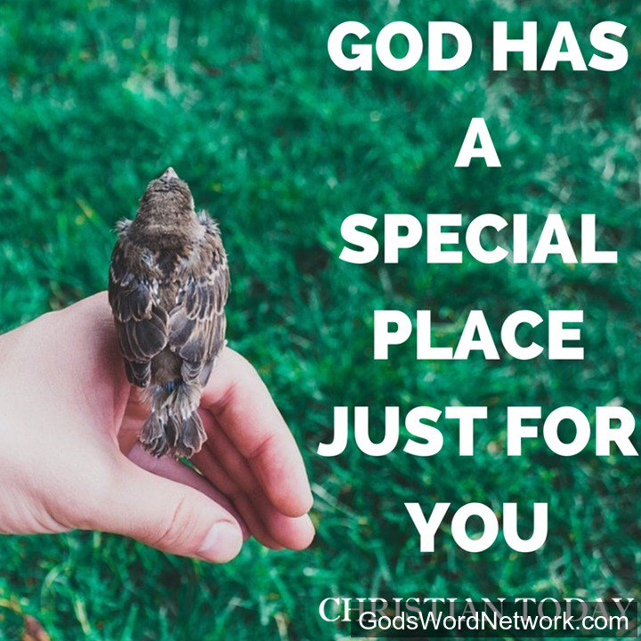 God's Word Network tweet media