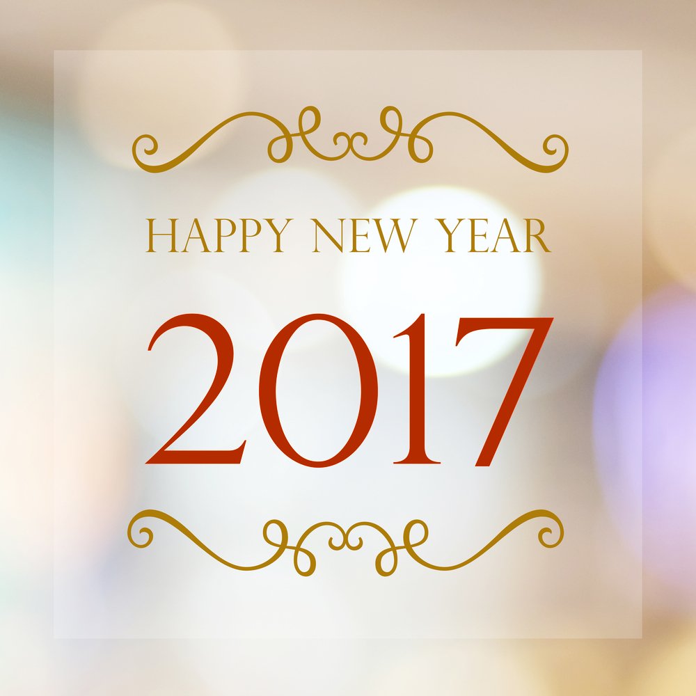 As we look toward 2017, we hope to continue to make a difference in the Sycamore community!