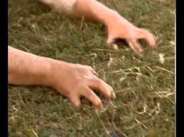 #اول_تغريده_في2017
قد أبحثُ عن شيءٍ يسعدني
أو يبهرني
لكن لايوجد غيركِ أنتِ
فلكِ مني 
روحي 
قلبي
جسدي
كفني
يا أغلى من في الدنبا
يا تربةُ وطني