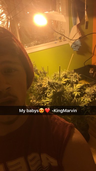 My happy place is when I'm around my baby's 😍❤ 2 short weeks then it's harvest and curing time 😍😍😍 https://t<a href="/tag/newavi"class="tags"><span>#newavi</span></a>