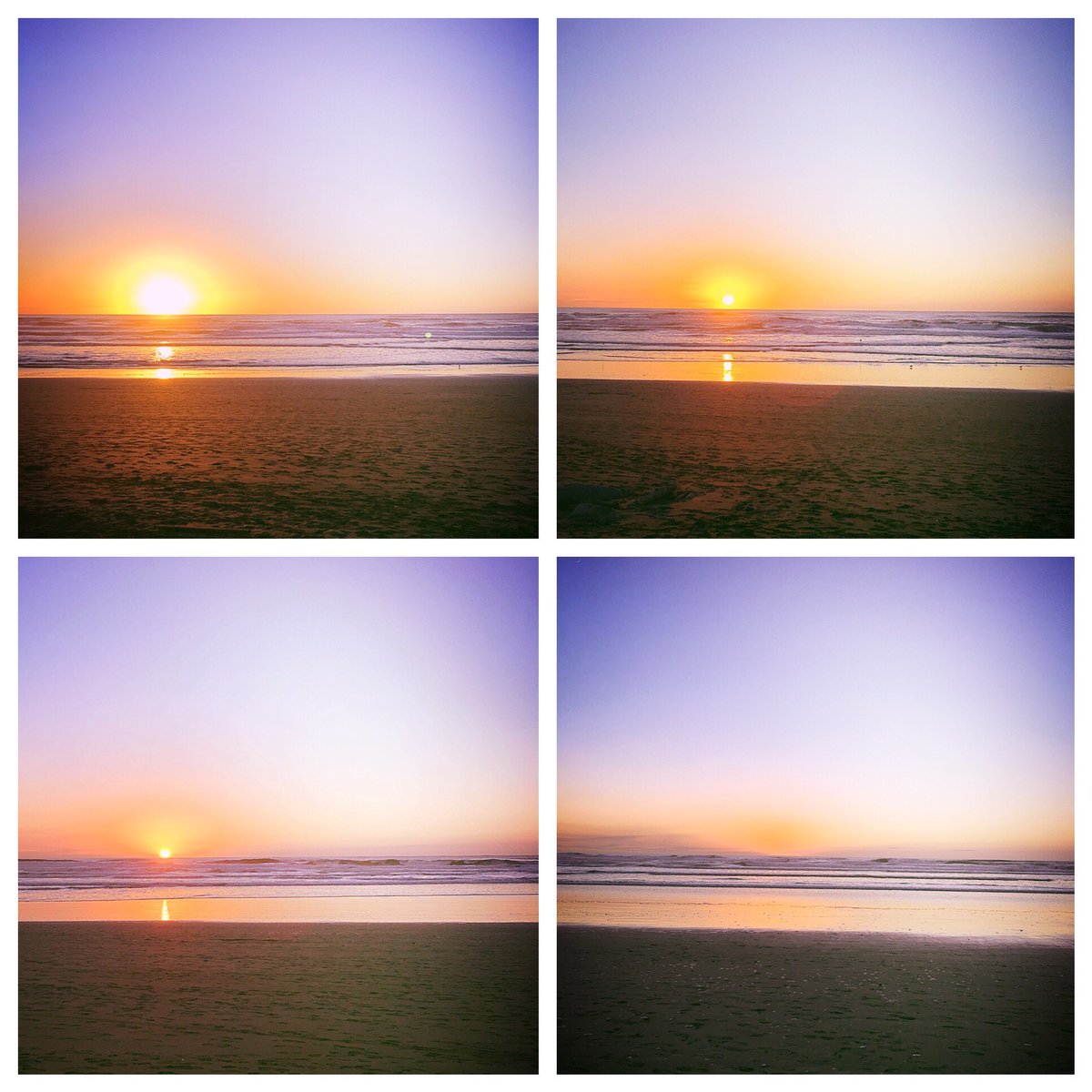 lavation_studio's tweet photo. Goodbye 2016. Here's to an incredible 2017! #lastsunset #oceanbeach #sf #newyear #seeyain2017 https://t.co/KzzoC8ksHo