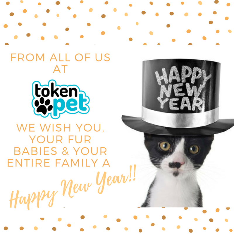 Thank's To All Of Our Followers For Making 2016 AMAZING! We're So Looking Forward To Seeing You in 2017! Happy New Year!!! - Team <a href="/tokenpet/">Dougla Garcia Araujo</a>