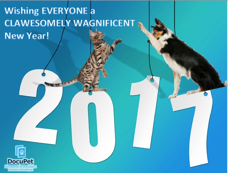 DocuPetWDSPCA's tweet photo. HAPPY NEW YEAR from our family to yours! We are wishing everyone a #safe, #happy, and #healthy New Year! https://t.co/iHncBHsIuE