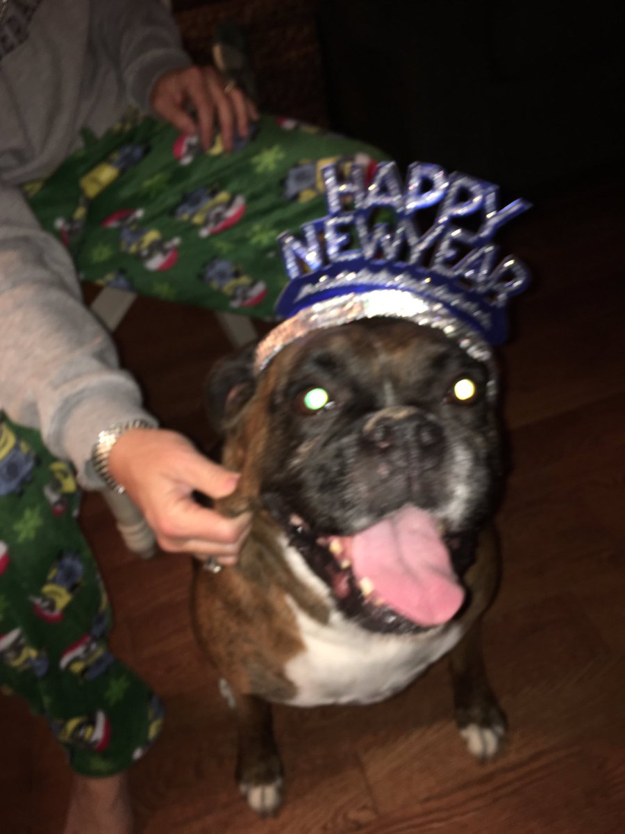 Daisy46074's tweet photo. Happy New Year! https://t.co/m7ba8DKC8L