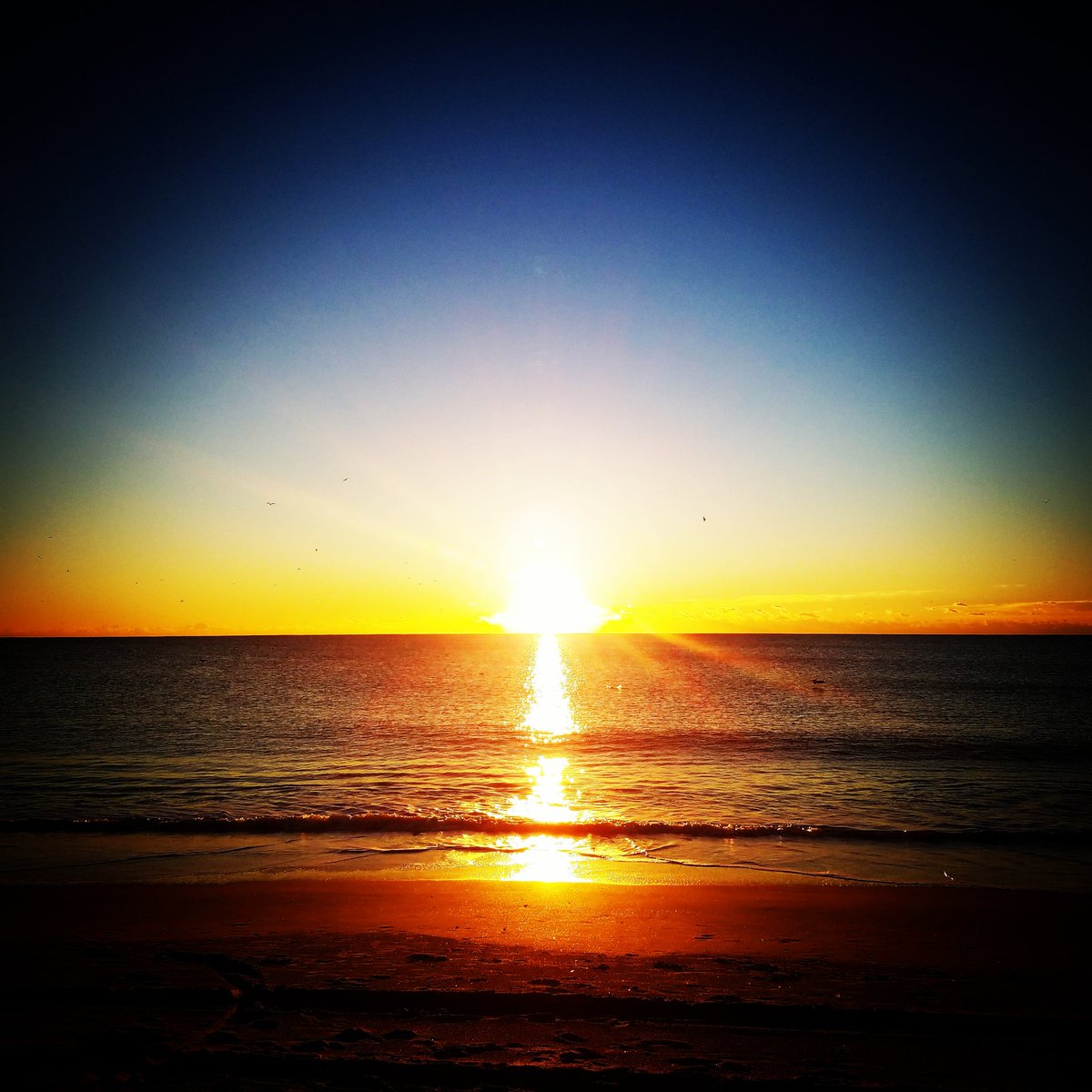 CreatorSundae's tweet photo. Happy New Year!!!
明けましておめでとうございます✨

#happynewyear

#2017 #beautiful #cool #nice #startof year #きれい #beach #年の始め #ビーチ #海 ー https://t.co/0j5jKl9cxm