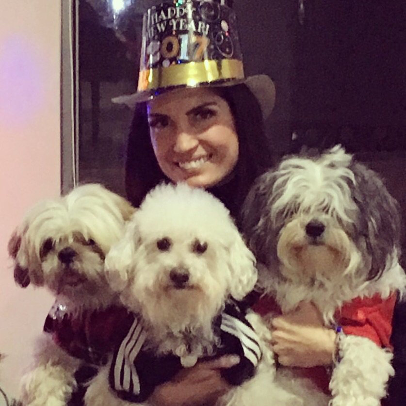 vegabiestro's tweet photo. Familia completa!!! Mis chaparros #Bugsy #Picui #Toby #Feliz2017 https://t.co/1Cxx01rNMl