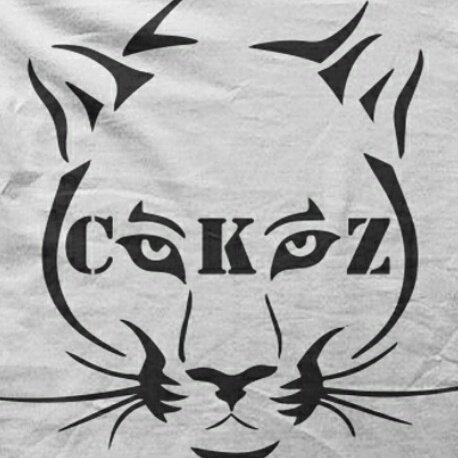 AllanStrums's tweet image. CKZ T-SHIRTZ FOR WOMEN WOULD LIKE TO WISH EVERYONE A SAFE AND HAPPY NEW YEAR.