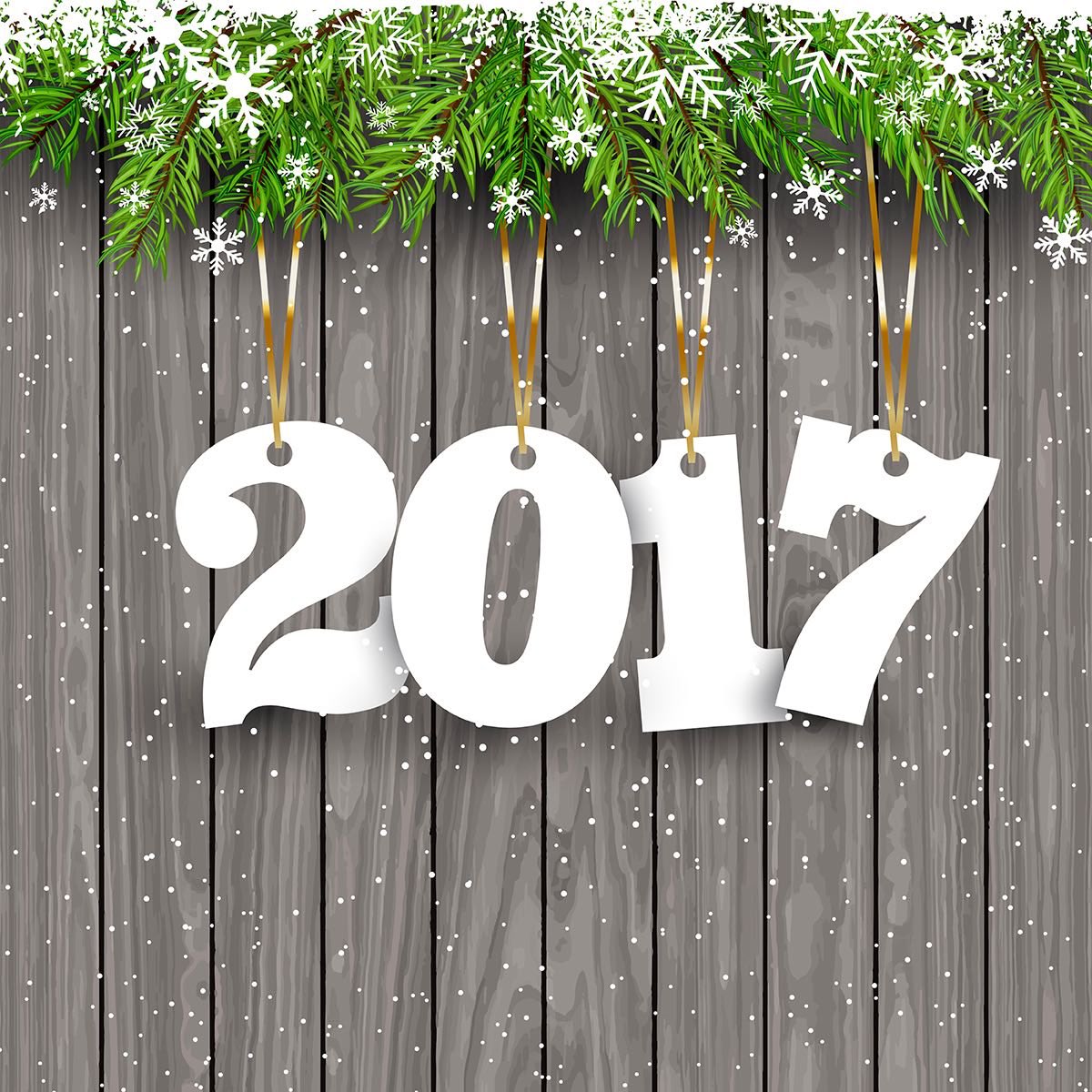 Mi familia y yo les deseamos salud y mucho éxito este 2017. 

#FelizAñoNuevo