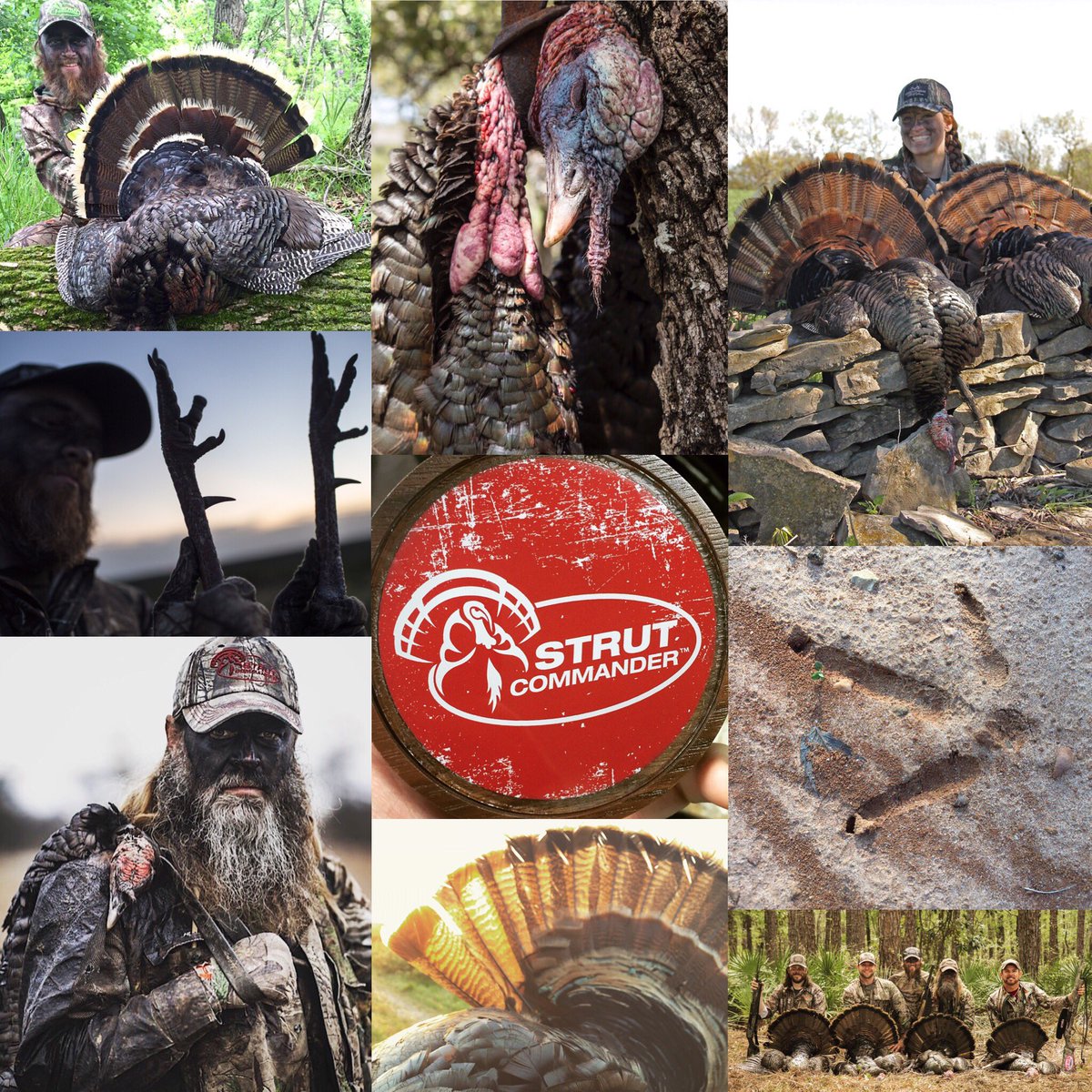 strut_commander's tweet photo. Can't wait for SPRING of 2017!!! #HappyNewYears #NewYear #StrutCommander https://t.co/RYLOgn8BUH