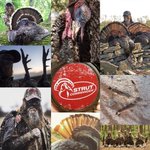Photo by Strut Commander (@strut_commander)