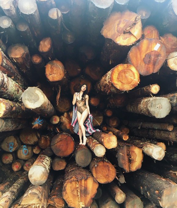 spent my last day of 2016 surrounded by lumber 😅 what did you do today? (shot by @zarrin_sky) https://t