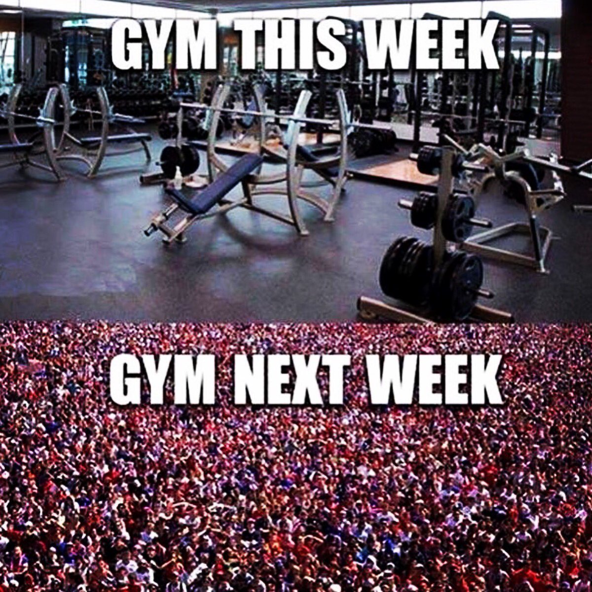 GoAkstreme's tweet image. True story 😋
#fithumor #fitness #fitfam