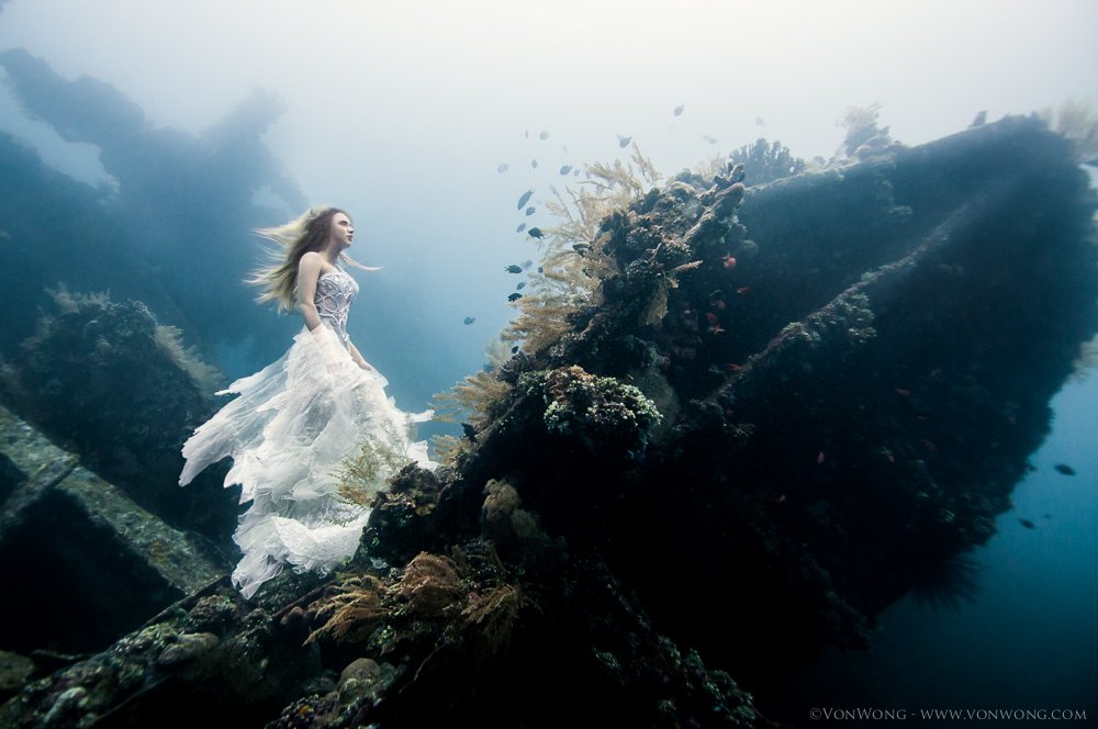 picsinpics's tweet photo. A Surreal Photoshoot on an Underwater Shipwreck in Bali (5 pics) - https://t.co/jV7yuek9qr https://t.co/PSAnVvWW3m